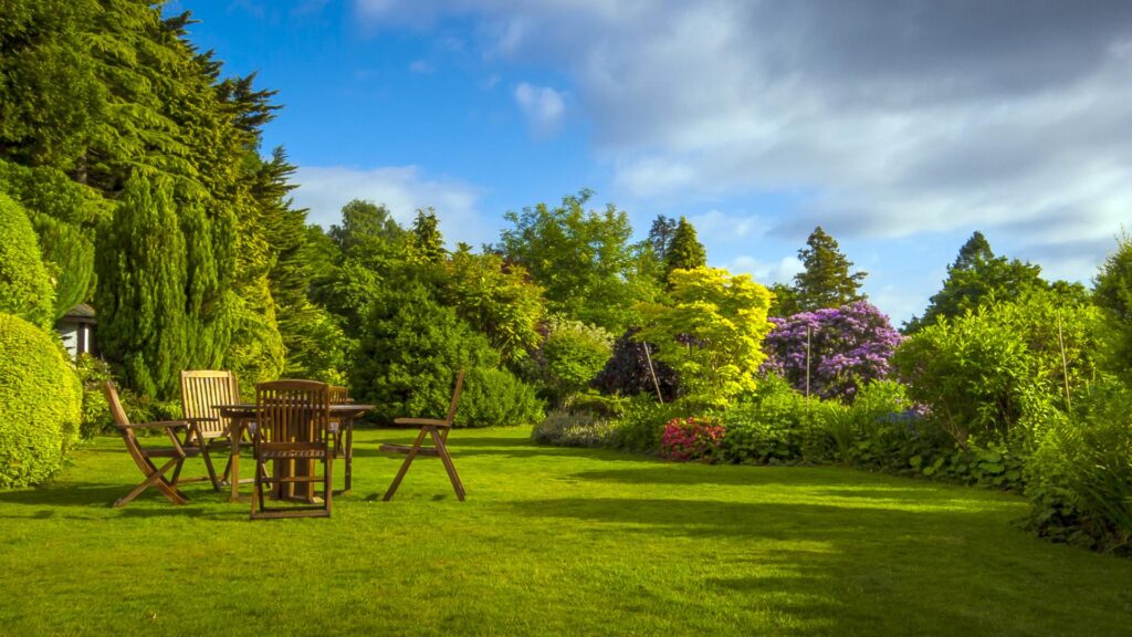 Renting? Here are our top tips for your garden for the summer